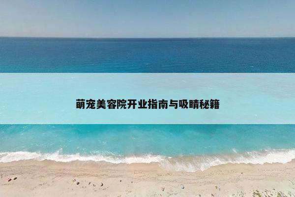 萌宠美容院开业指南与吸睛秘籍