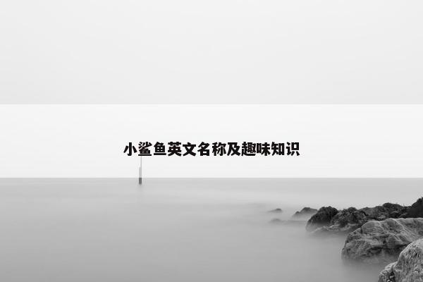 小鲨鱼英文名称及趣味知识