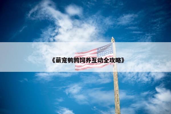 《萌宠鹌鹑饲养互动全攻略》