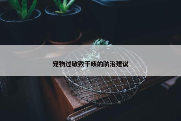 宠物过敏致干咳的防治建议