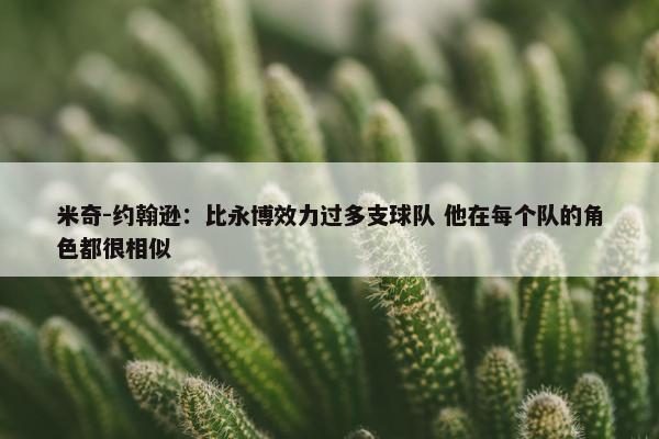 米奇-约翰逊：比永博效力过多支球队 他在每个队的角色都很相似