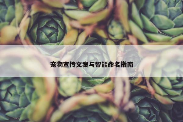 宠物宣传文案与智能命名指南