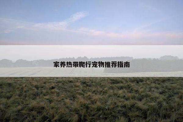 家养热带爬行宠物推荐指南