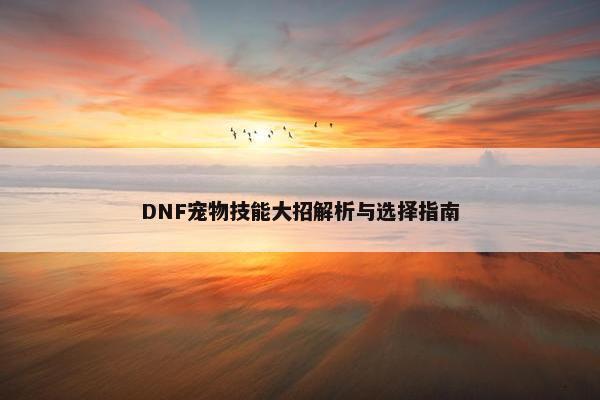 DNF宠物技能大招解析与选择指南