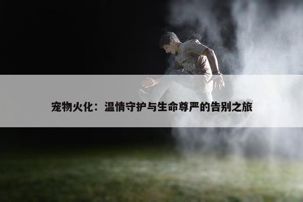 宠物火化：温情守护与生命尊严的告别之旅