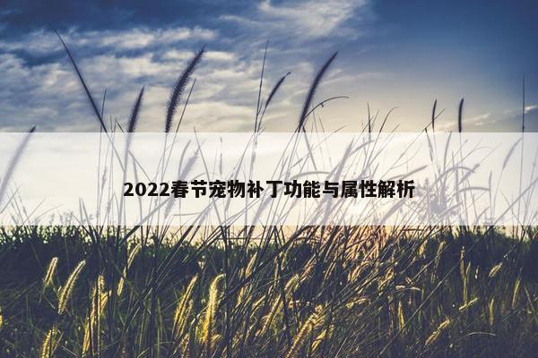 2022春节宠物补丁功能与属性解析