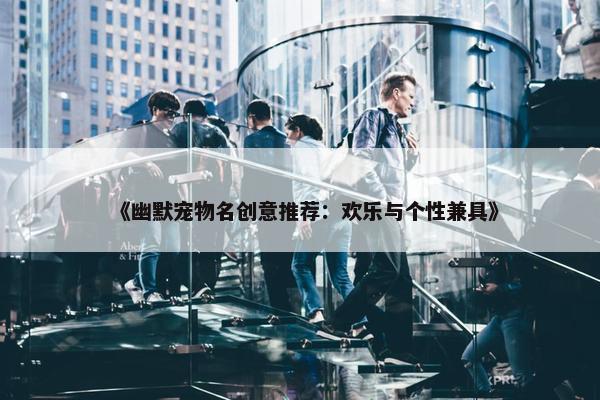 《幽默宠物名创意推荐：欢乐与个性兼具》