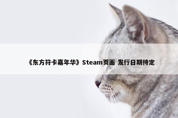 《东方符卡嘉年华》Steam页面 发行日期待定