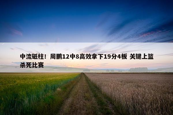 中流砥柱！周鹏12中8高效拿下19分4板 关键上篮杀死比赛