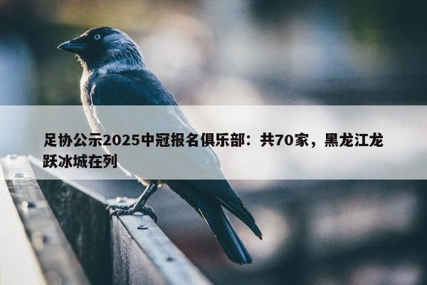 足协公示2025中冠报名俱乐部：共70家，黑龙江龙跃冰城在列