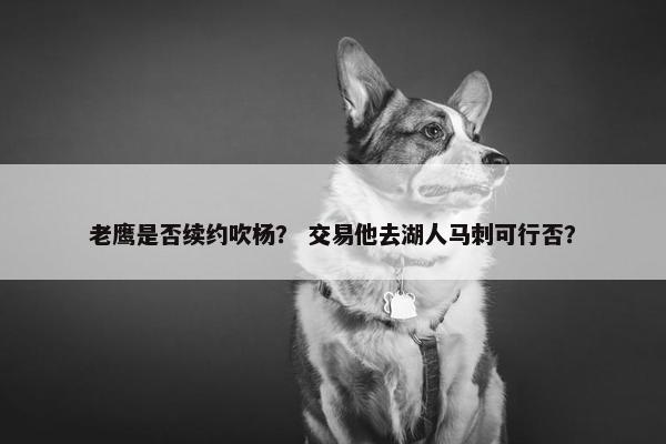 老鹰是否续约吹杨？ 交易他去湖人马刺可行否？