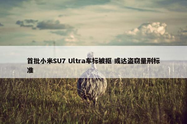 首批小米SU7 Ultra车标被抠 或达盗窃量刑标准