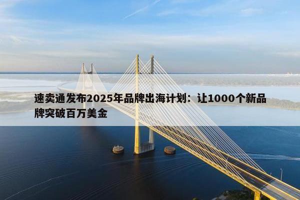 速卖通发布2025年品牌出海计划：让1000个新品牌突破百万美金