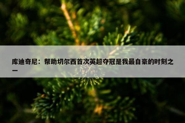 库迪奇尼：帮助切尔西首次英超夺冠是我最自豪的时刻之一