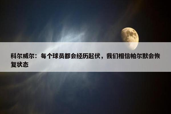 科尔威尔：每个球员都会经历起伏，我们相信帕尔默会恢复状态