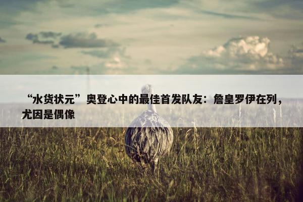 “水货状元”奥登心中的最佳首发队友：詹皇罗伊在列，尤因是偶像