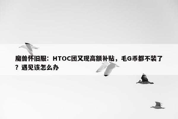 魔兽怀旧服：HTOC团又现高额补贴，毛G币都不装了？遇见该怎么办