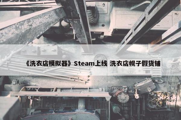 《洗衣店模拟器》Steam上线 洗衣店幌子假货铺