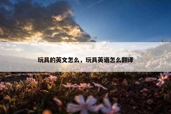 玩具的英文怎么，玩具英语怎么翻译