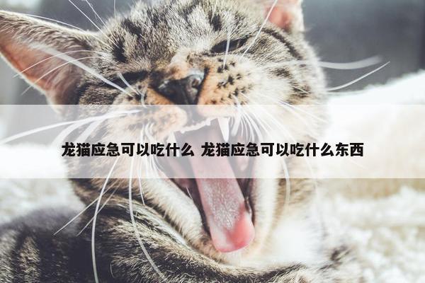 龙猫应急可以吃什么 龙猫应急可以吃什么东西