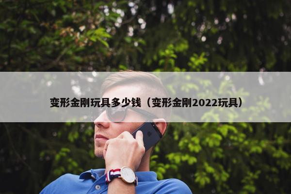 变形金刚玩具多少钱（变形金刚2022玩具）