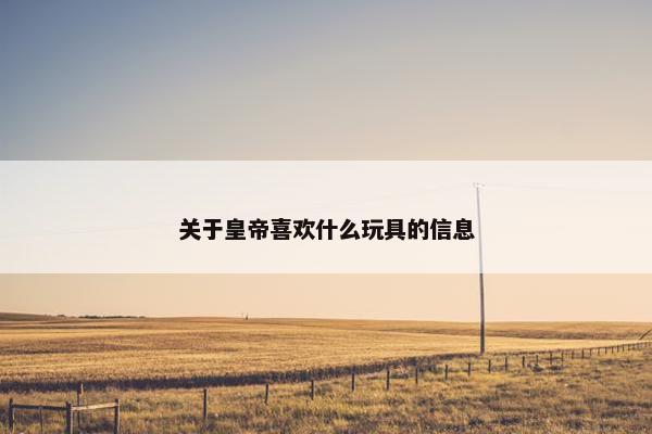 关于皇帝喜欢什么玩具的信息