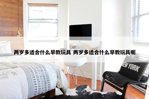 两岁多适合什么早教玩具 两岁多适合什么早教玩具呢