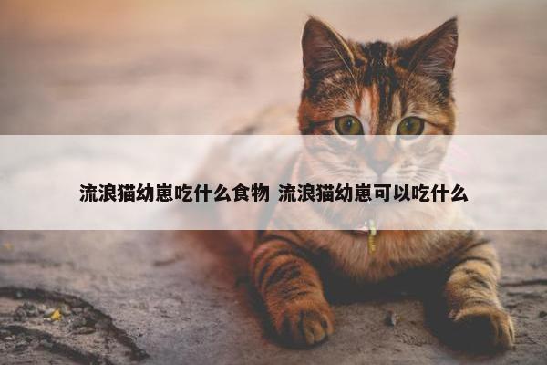 流浪猫幼崽吃什么食物 流浪猫幼崽可以吃什么