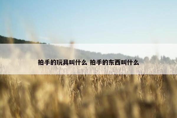 拍手的玩具叫什么 拍手的东西叫什么