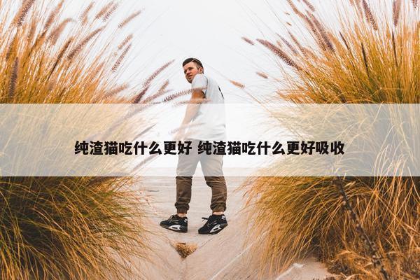 纯渣猫吃什么更好 纯渣猫吃什么更好吸收