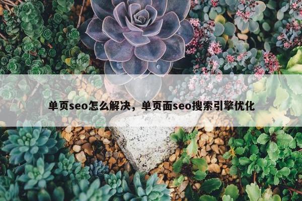 单页seo怎么解决，单页面seo搜索引擎优化