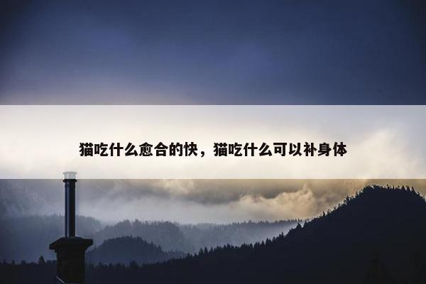 猫吃什么愈合的快，猫吃什么可以补身体