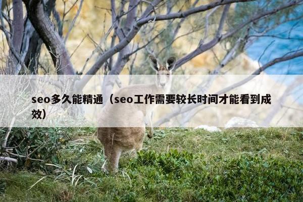 seo多久能精通（seo工作需要较长时间才能看到成效）