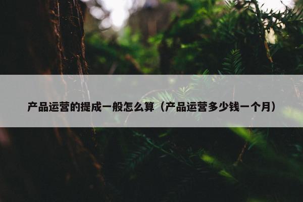 产品运营的提成一般怎么算（产品运营多少钱一个月）