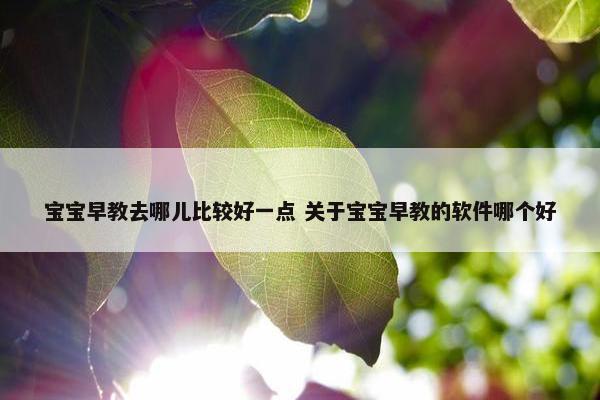 宝宝早教去哪儿比较好一点 关于宝宝早教的软件哪个好