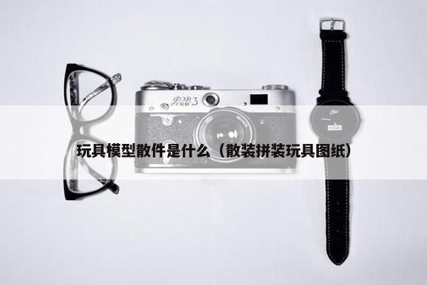 玩具模型散件是什么（散装拼装玩具图纸）