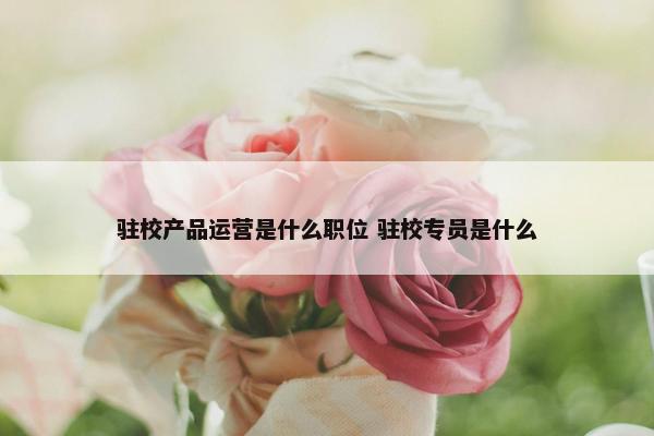 驻校产品运营是什么职位 驻校专员是什么