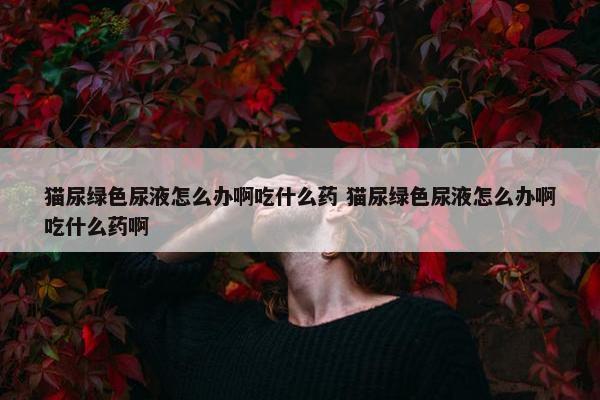 猫尿绿色尿液怎么办啊吃什么药 猫尿绿色尿液怎么办啊吃什么药啊