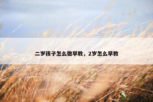 二岁孩子怎么做早教，2岁怎么早教