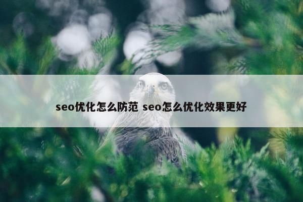 seo优化怎么防范 seo怎么优化效果更好