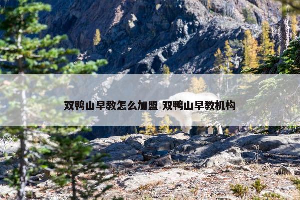 双鸭山早教怎么加盟 双鸭山早教机构