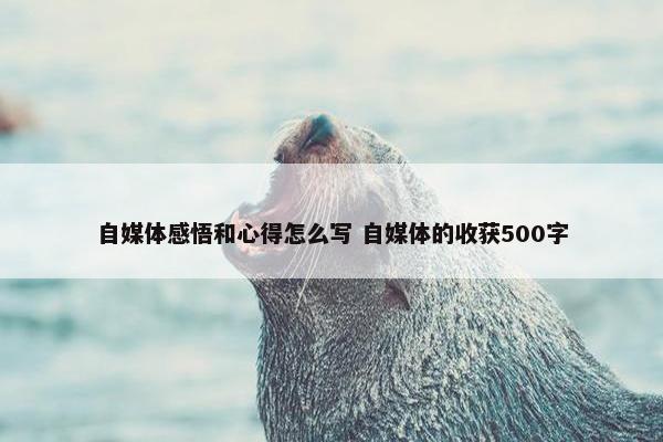 自媒体感悟和心得怎么写 自媒体的收获500字