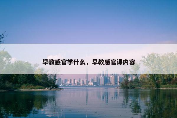 早教感官学什么，早教感官课内容