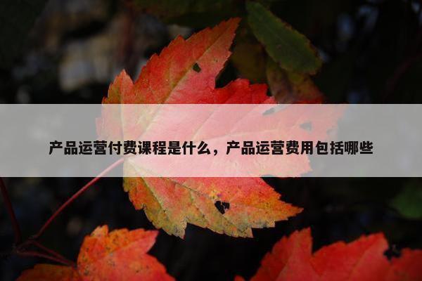 产品运营付费课程是什么，产品运营费用包括哪些