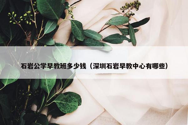 石岩公学早教班多少钱（深圳石岩早教中心有哪些）