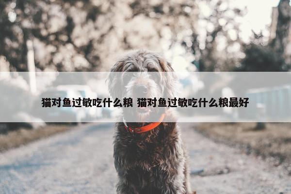 猫对鱼过敏吃什么粮 猫对鱼过敏吃什么粮最好