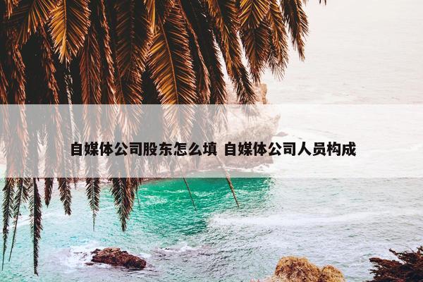 自媒体公司股东怎么填 自媒体公司人员构成