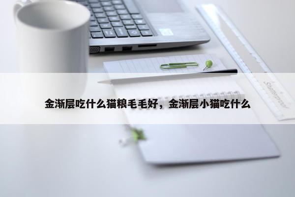 金渐层吃什么猫粮毛毛好，金渐层小猫吃什么