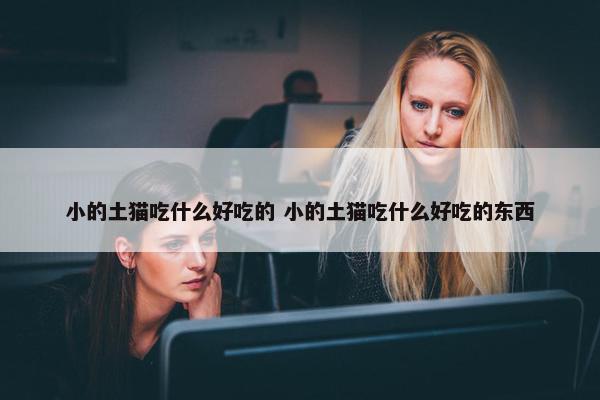 小的土猫吃什么好吃的 小的土猫吃什么好吃的东西