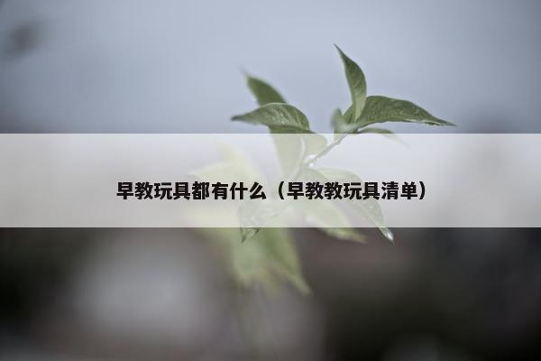 早教玩具都有什么（早教教玩具清单）